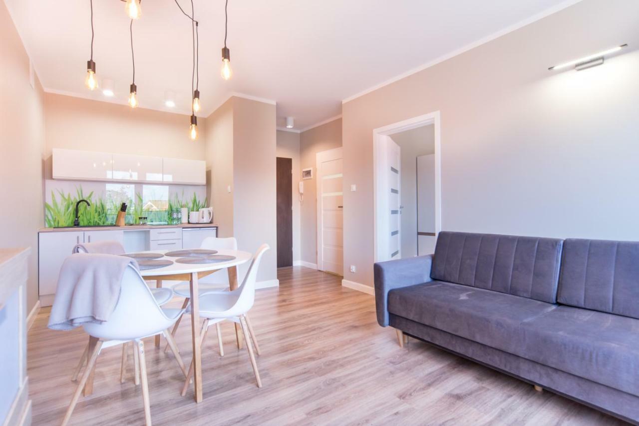 דז'יבנובק Apartamenty Pod Zaglami מראה חיצוני תמונה