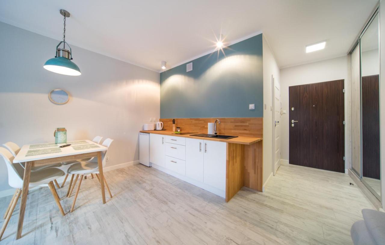 דז'יבנובק Apartamenty Pod Zaglami מראה חיצוני תמונה